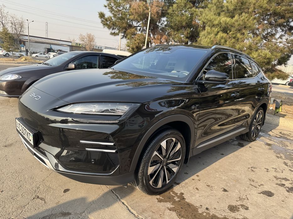 Arenda Champion Smart 2025