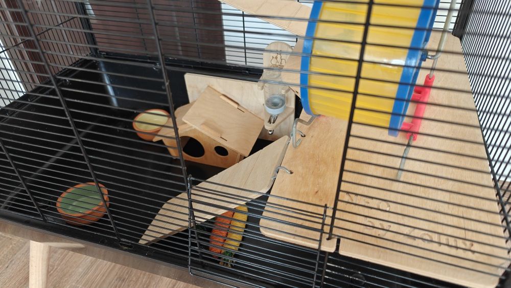 Vand cusca Zolux Neo + accesorii