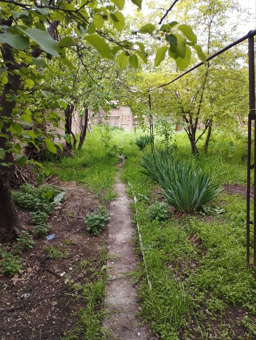 Продаю участок  старый дом