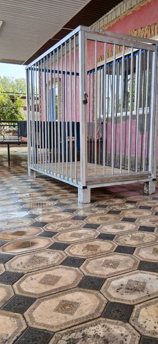 Боксёр немецкий.