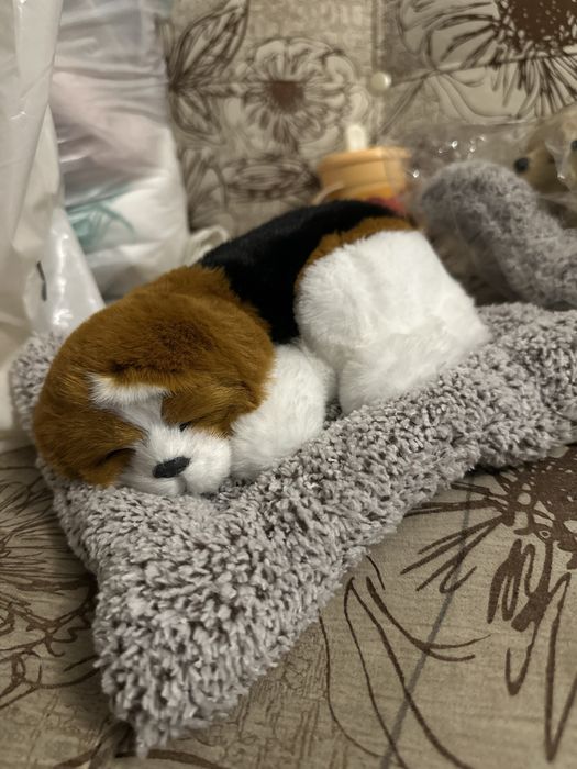 На лето обувь красивые