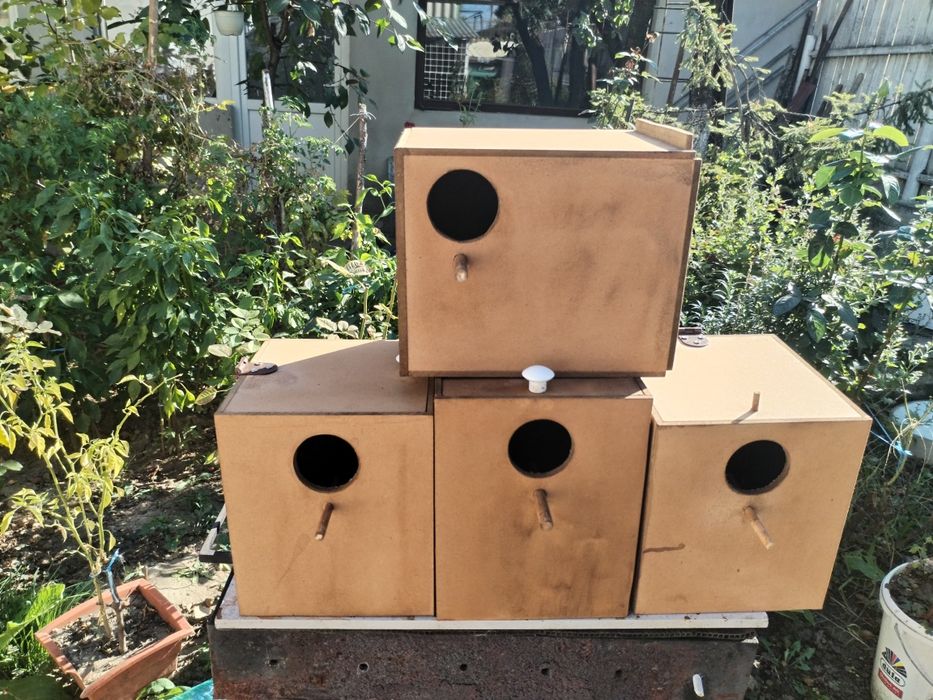 Accesorii porumbei și papagali