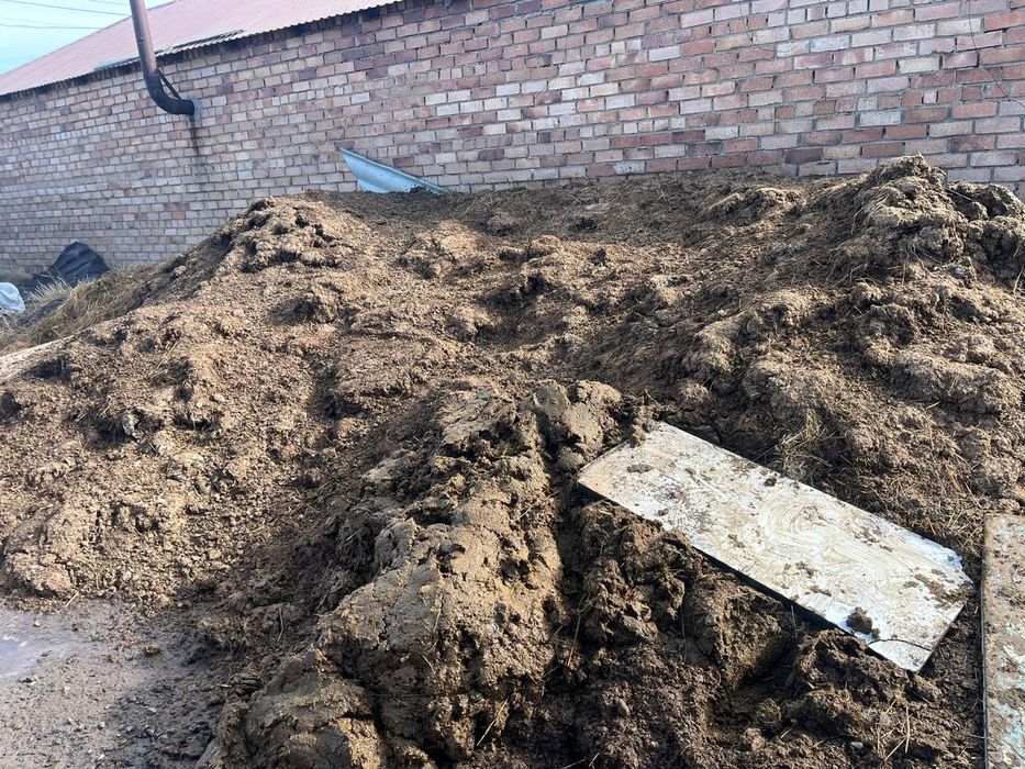 Отдам навоз. Самовывоз