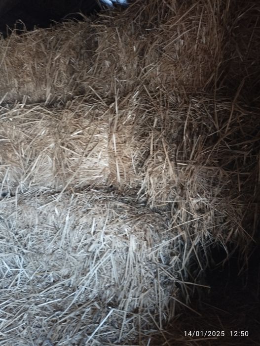 Beda presslari sotiladi.