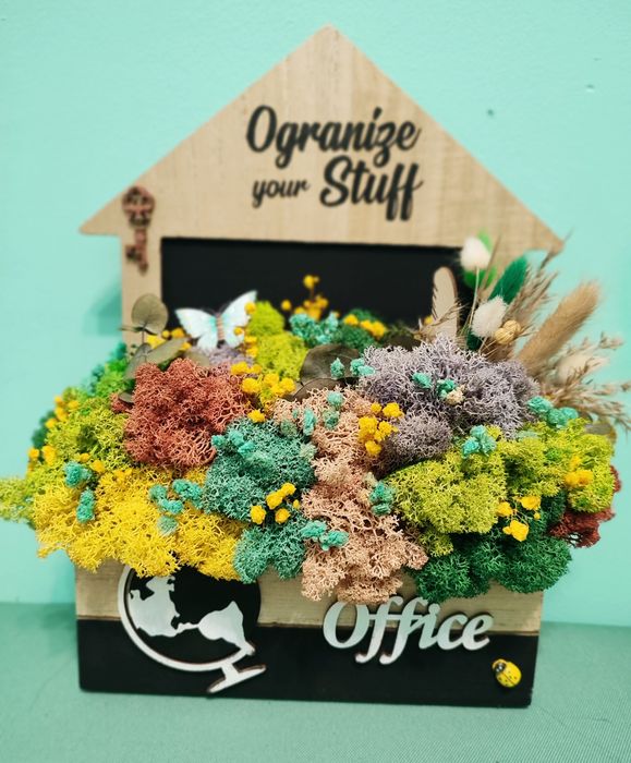 Различни видове кашпи със скандинавски мъх