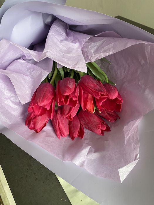 Тюльпаны 10 штук