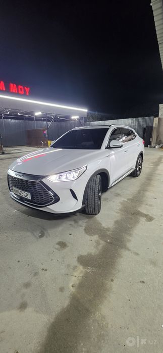 Song pilus GIBRIT BYD  2023 yil olingan 100% radnoy