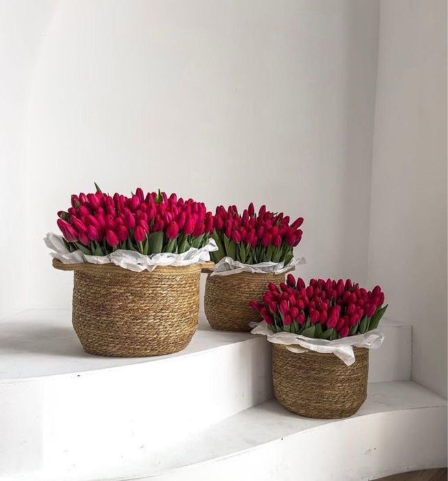 Тюльпаны в корзинке, тюльпаны оптом