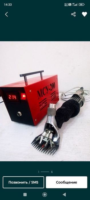 Quy va echki junini olamiz