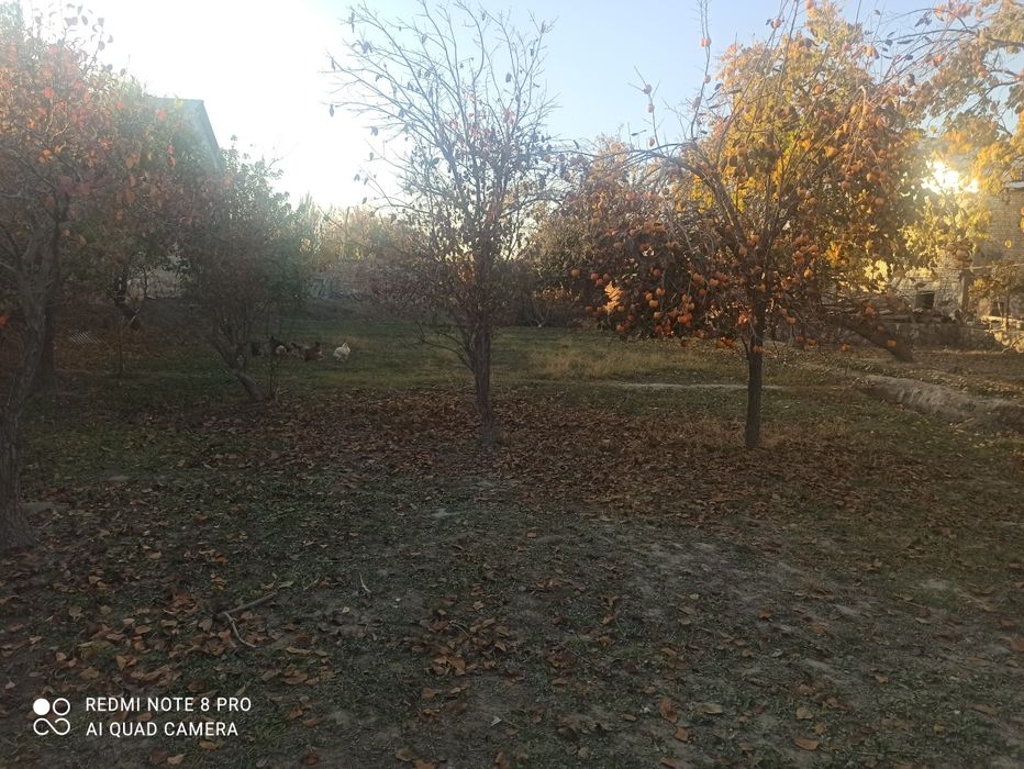 6 Сотокли участка сотилади. Продается срочно!