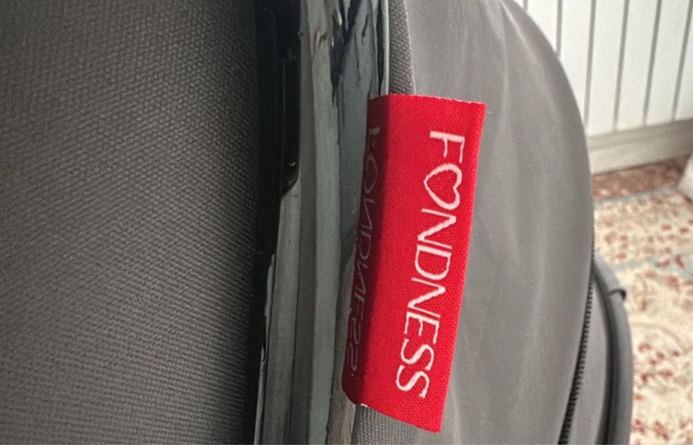 Коляска Fondness 900G