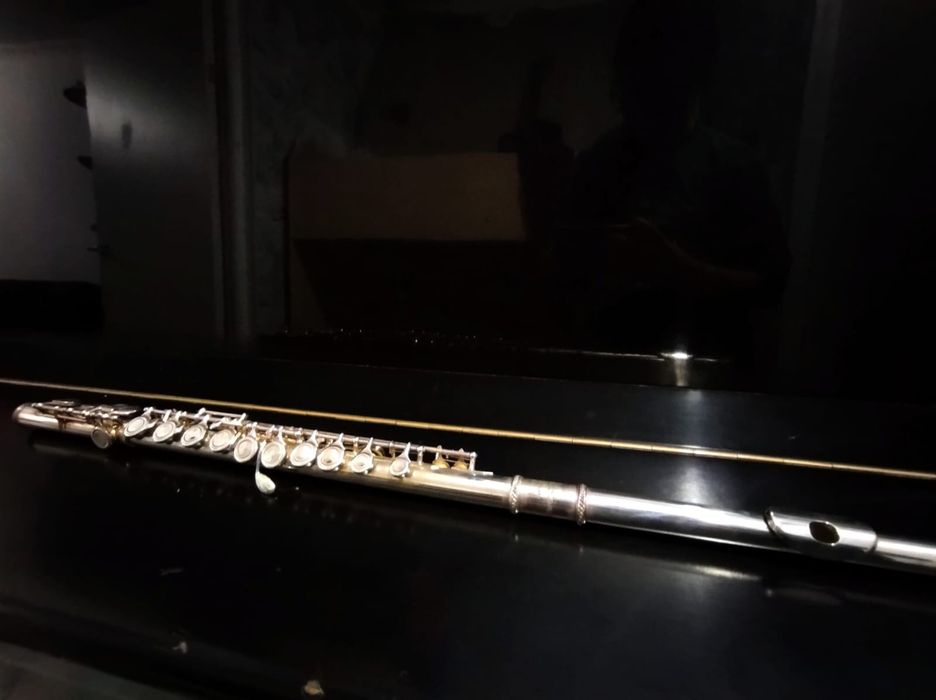 Профессиональная флейта