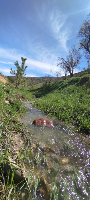 Такси в Горы Чарвак, Чимган, Бочка!