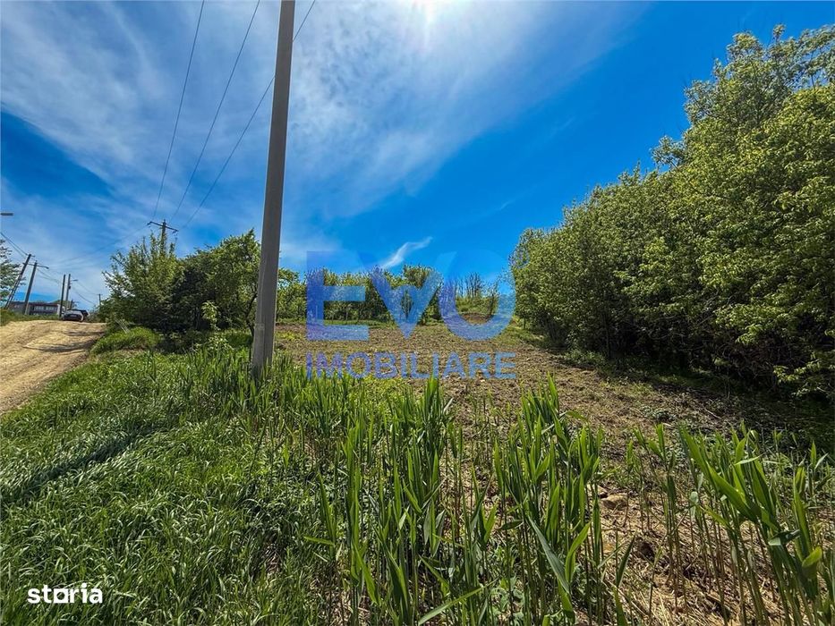 Teren intravilan, 1500 mp, zona Aroneanu Iasi