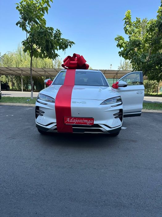 Лента машинага, бантик, лента, Автобант