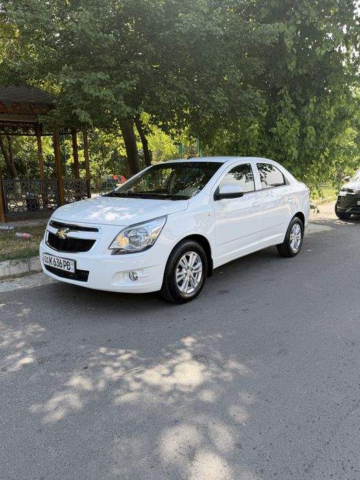 Kobild 2024 yil 7000 km yurgan
