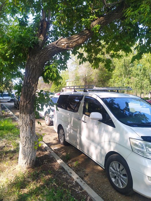 Продам альфарда .. цена на неделю