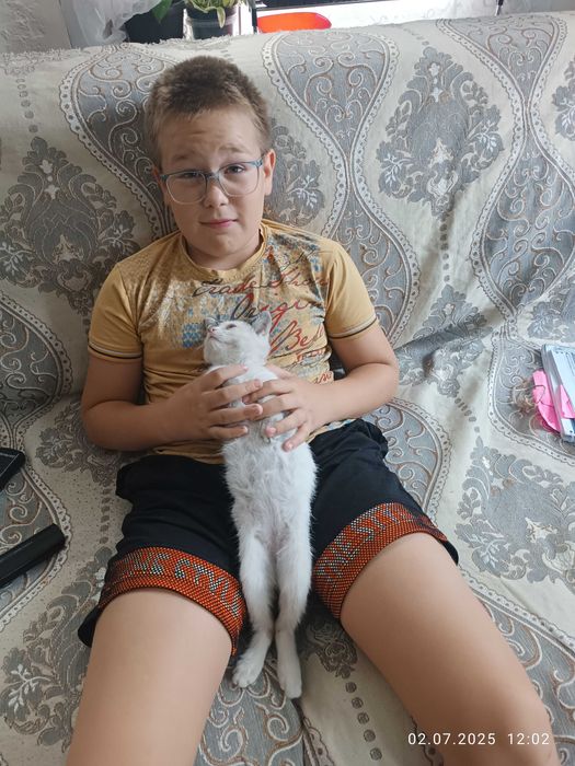 Кошечка ищет новый дом