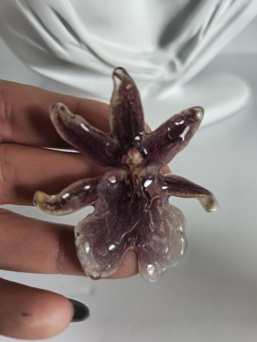 Брошки с естествен цвят на орхидея.