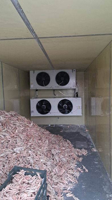 Реф контейнера марозильные и холодильные