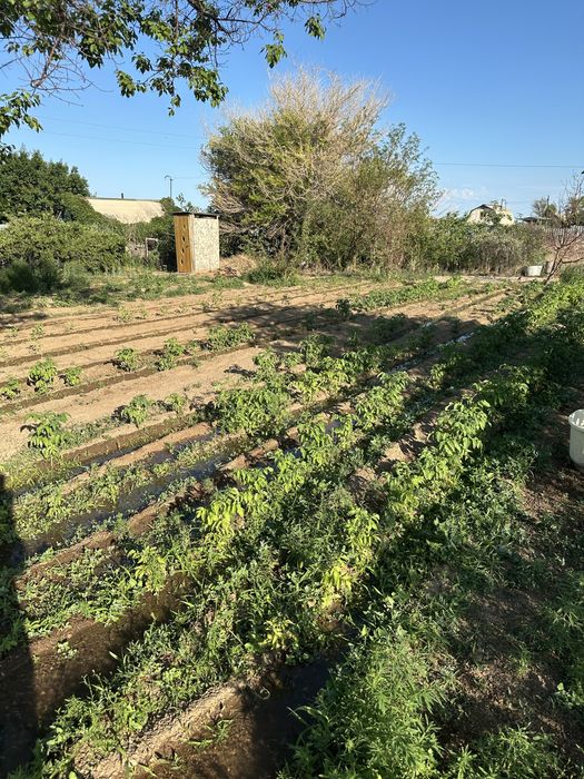 Продается дача на 1 водоколонке