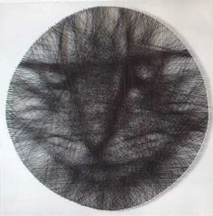 Tablouri decorative-String Art .