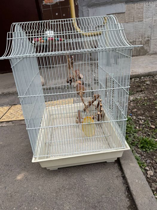 Клетка для попугая