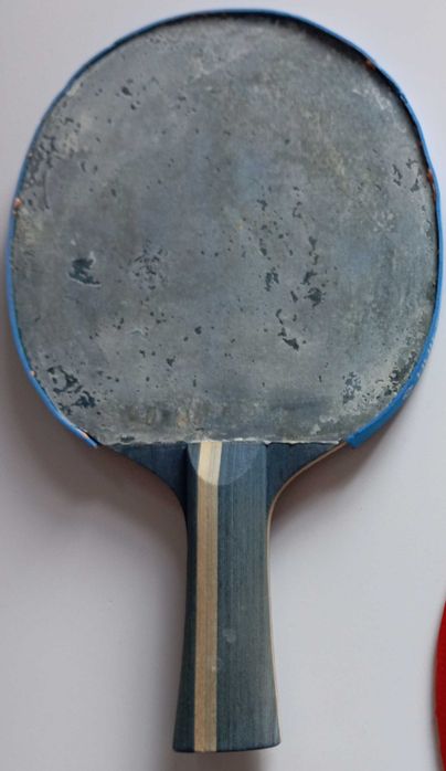 palete și fete pt tenis de masa