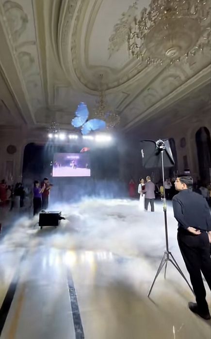 Бабочка-летающая Дрон