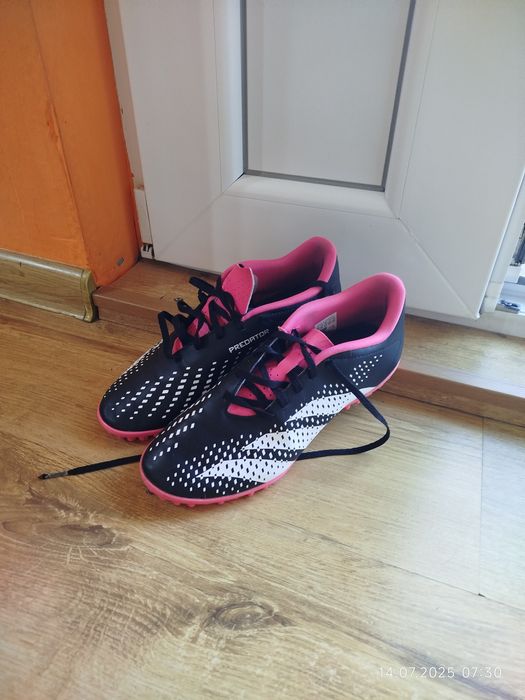 Стоножки и калеври