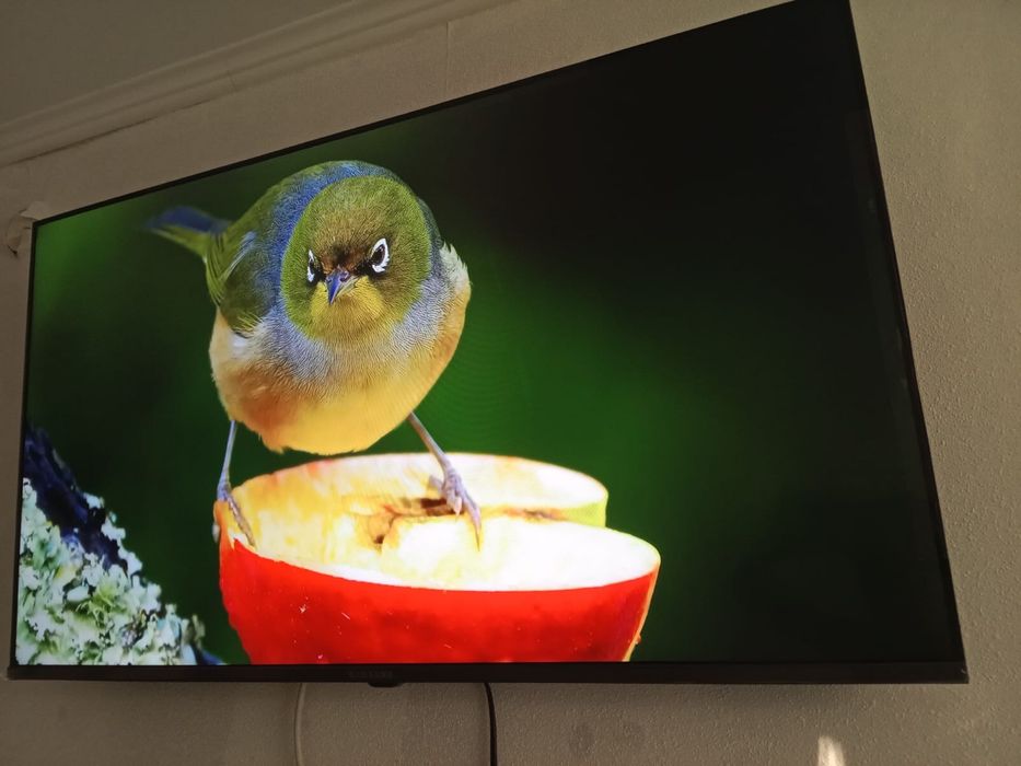 Ясинь-82см.4K 2024г.SMART WIFI T2