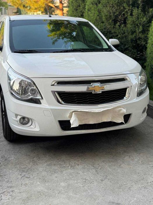 СРОЧНО!!! Коболт МСМ 2026