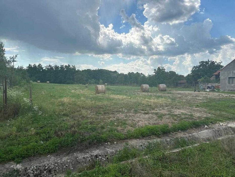 Casă solidă + 4500 mp Teren INTRAVILAN, 45m Front stradal