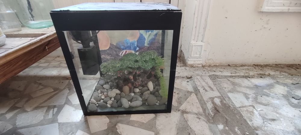 Аквариум сатылады сынык жарык жери жок  компрессорын косып беремен