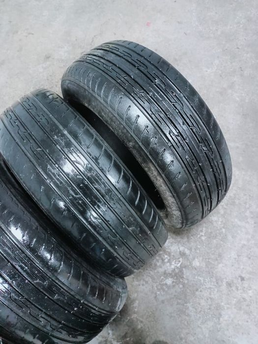 Продам ризину лето