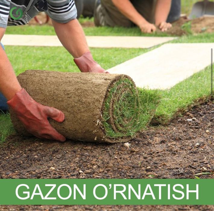 Tayyor gazon poliv ustanovka