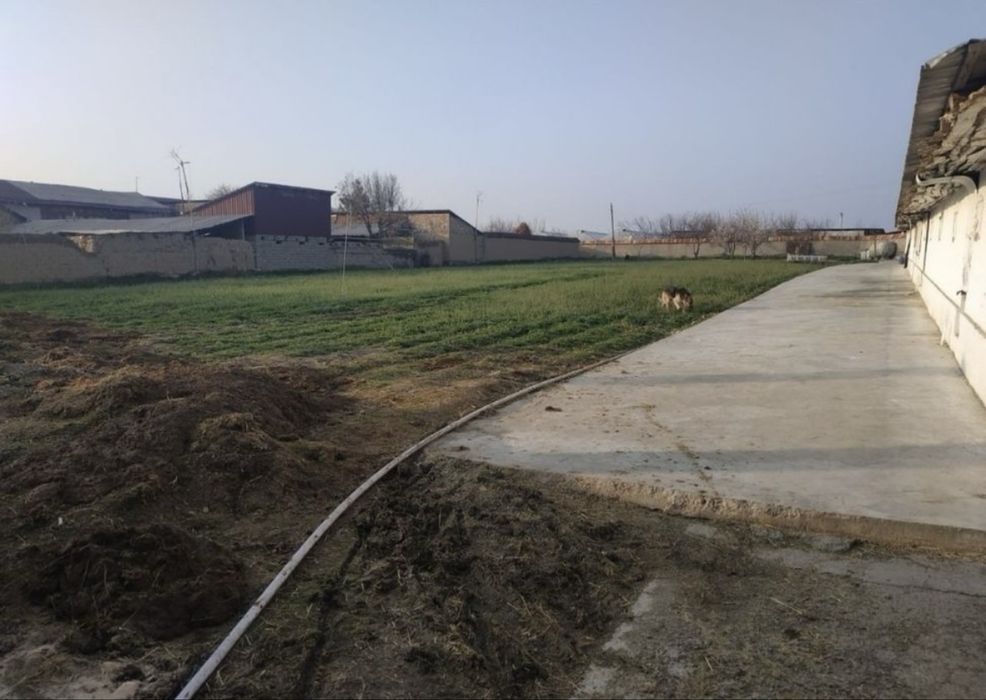 Yer sotiladi 48sotix 21 ta katej uchun