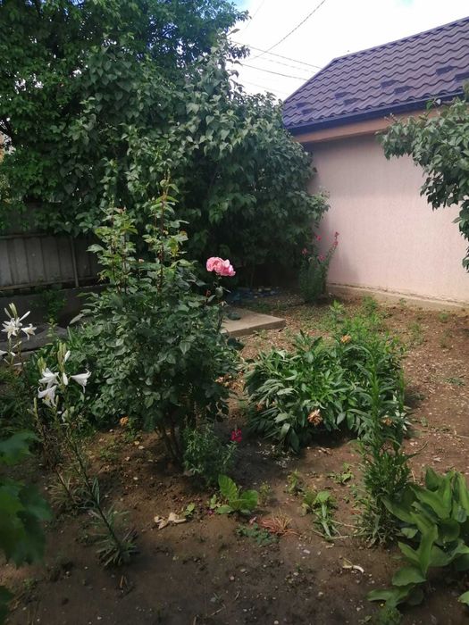 Casa de vanzare Golesti-Vrancea