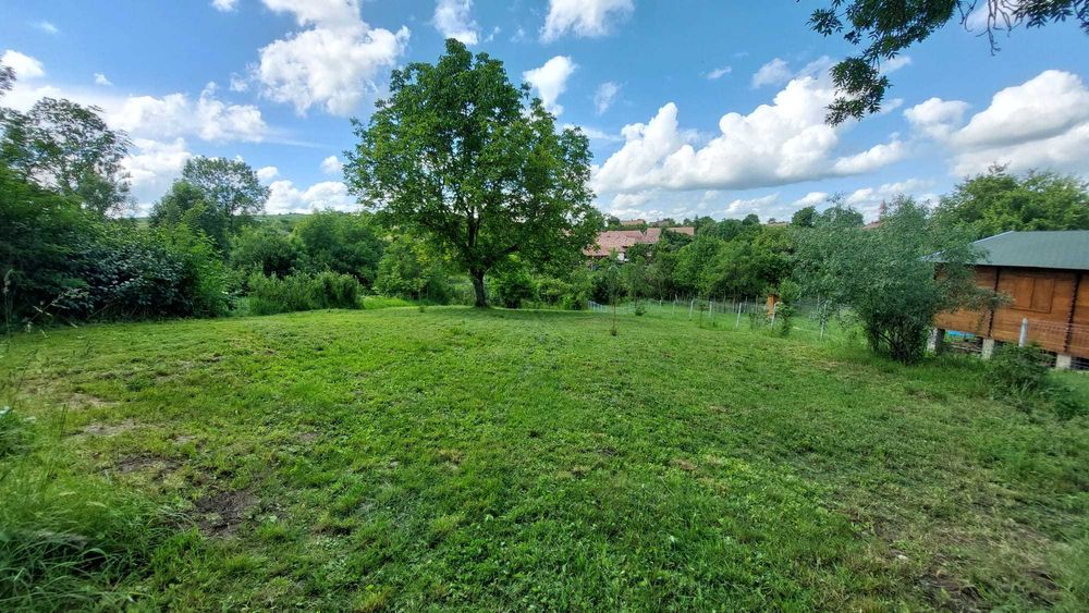 Vand 10 ari teren intravilan în SANTU