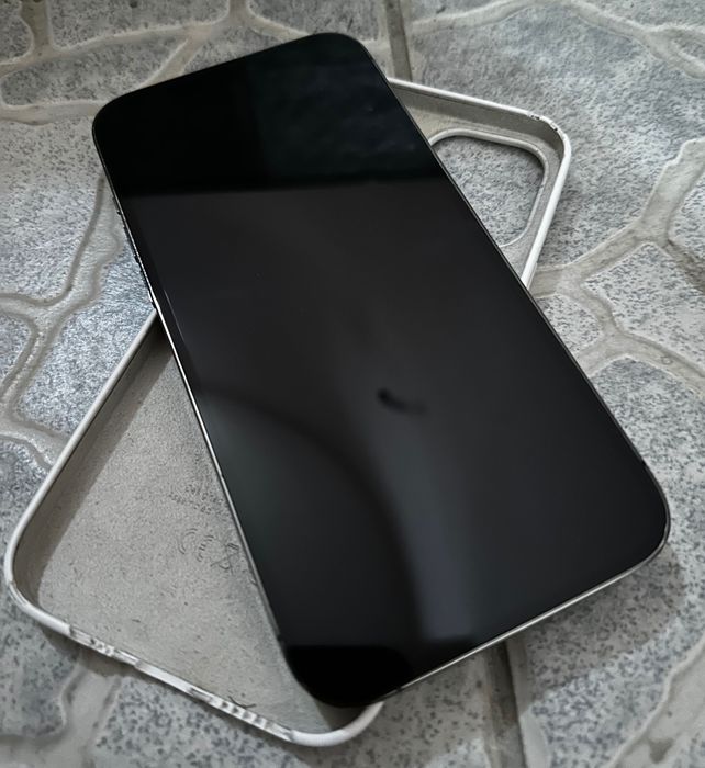 iPhone 12 Pro Max 256GB