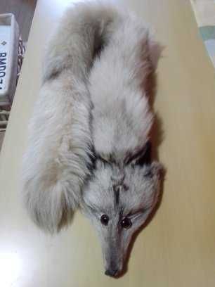 Шалче от естествена кожа ,запазено на прилична цена