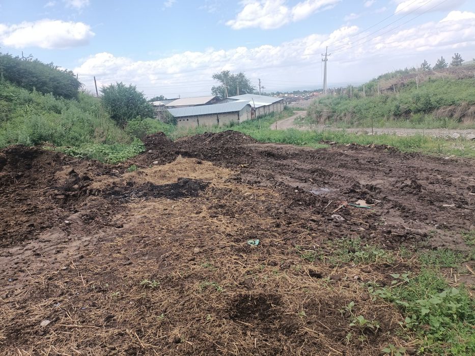 К.х 125 соток. Дом и ферма 30 на 10 для КРС