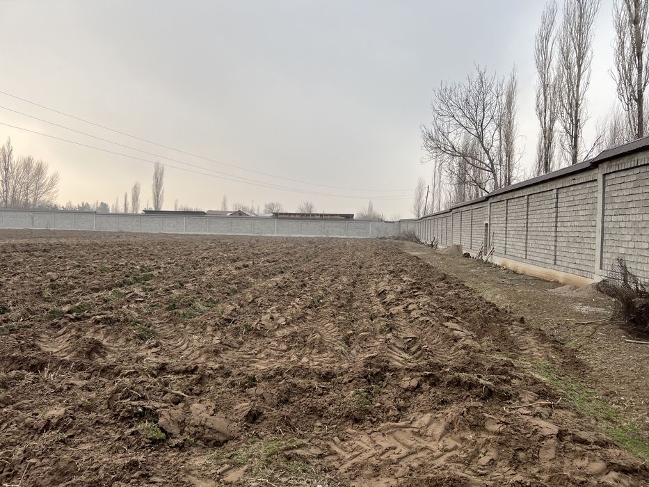 Продаеться земля недвижимость В Янгибазаре Юкори Чирчикском р-н.