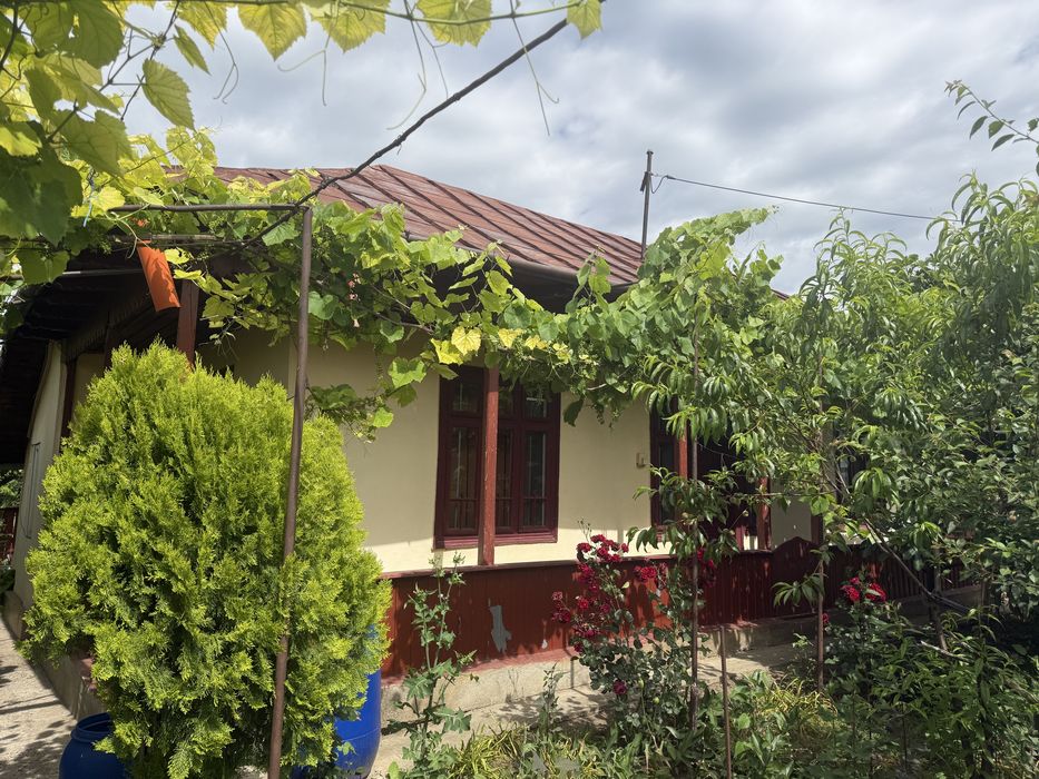 Casa de la tara
