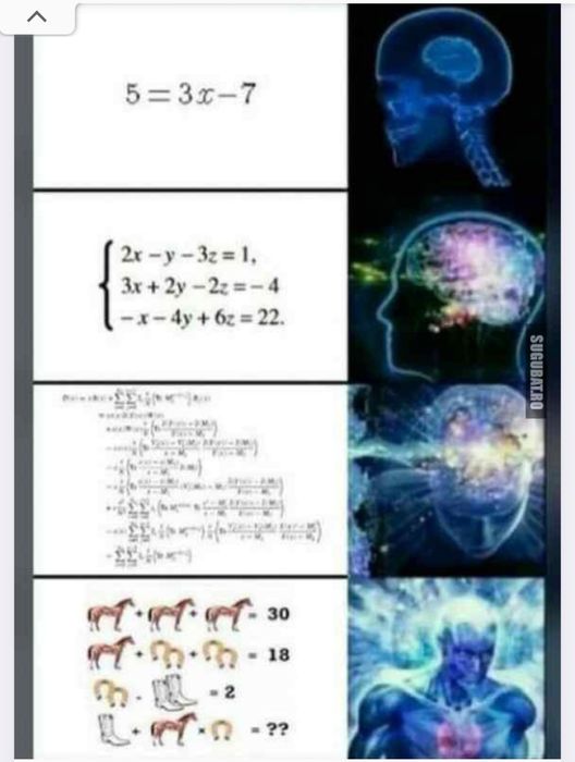Matematică Mioveni