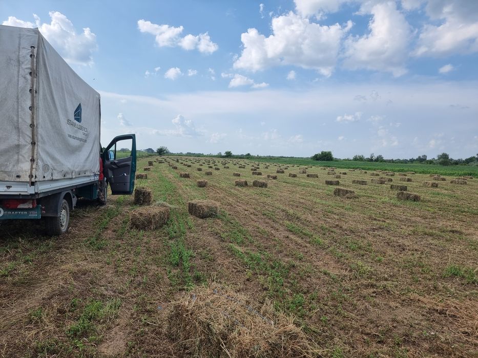 Baloti de lucerna trifoi