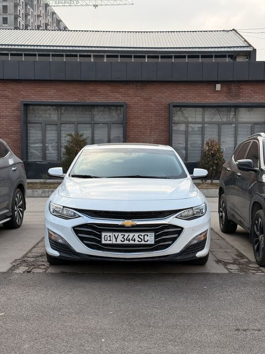 Malibu 2 premier toza 2022 full