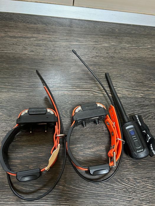 Gps Dogtra Pathfinder