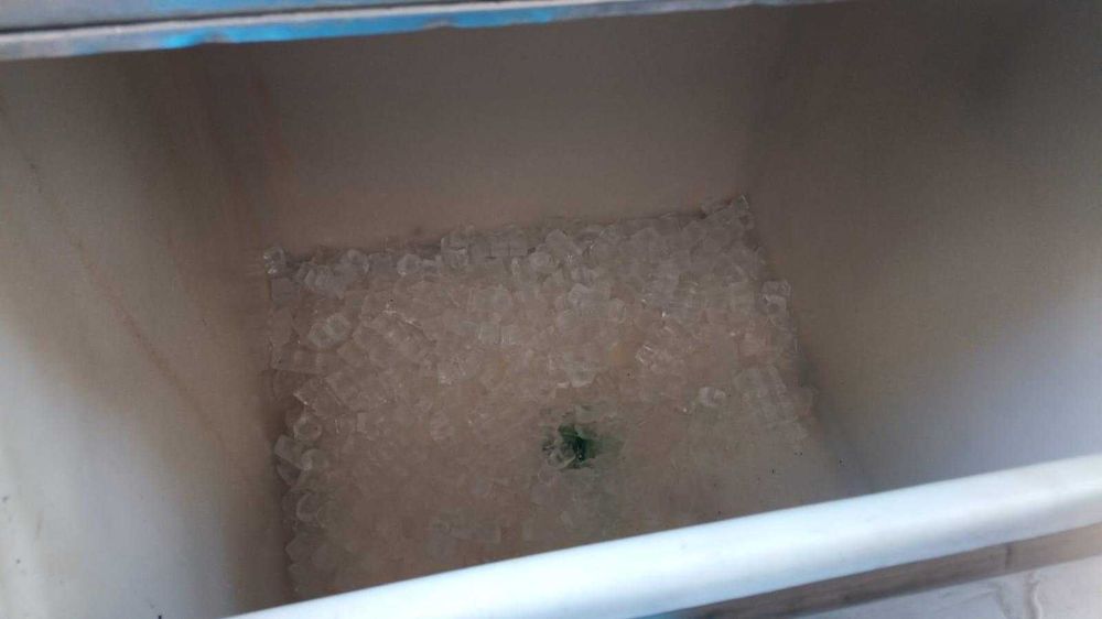 Masina cuburi gheata  capacitate mare