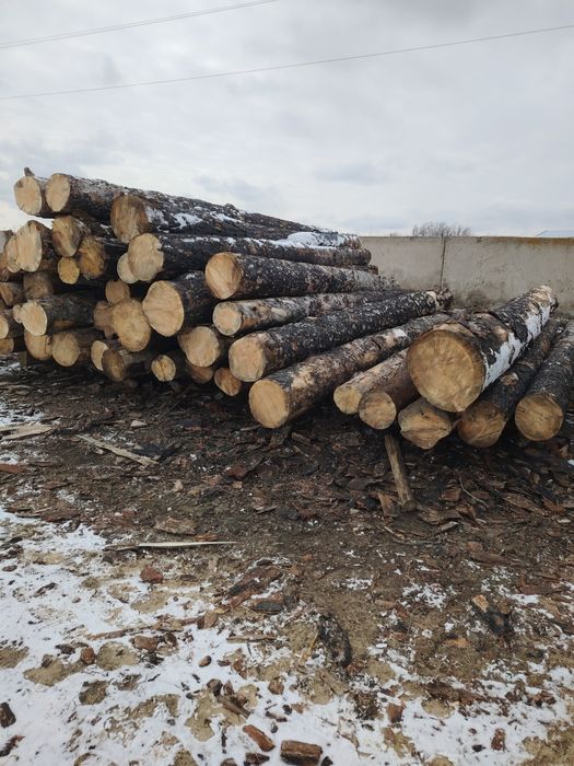 Продам кругляк лес сосна